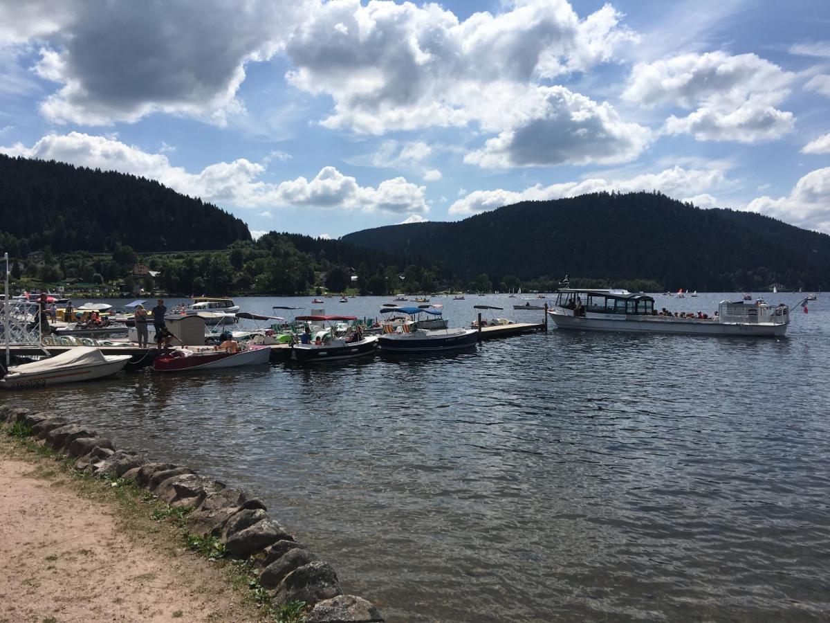Gite Les Dryades Gérardmer Eksteriør billede