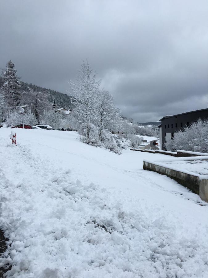 Gite Les Dryades Gérardmer Eksteriør billede